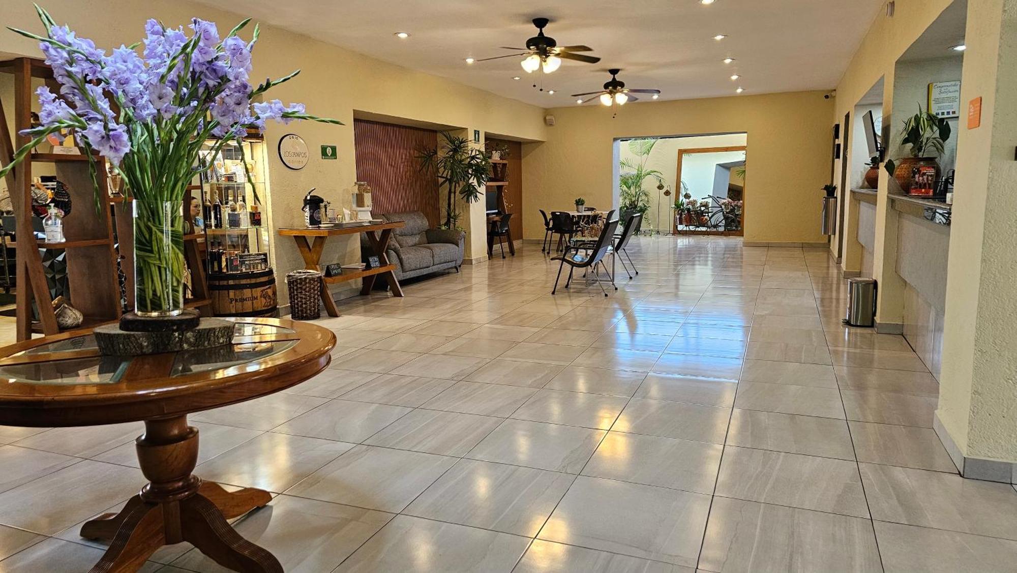 科多巴康福特茵酒店 Córdoba 外观 照片